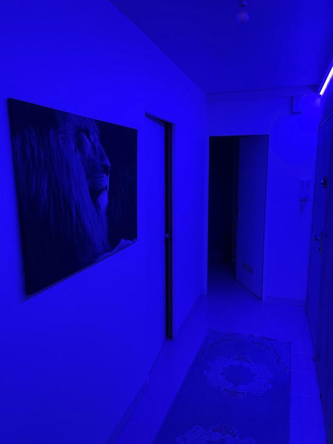 نانت Le Midnight : Proche Centre Ville المظهر الخارجي الصورة